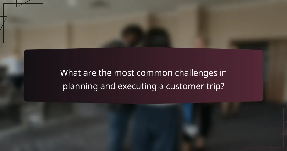 What are the most common challenges in planning and executing a customer trip?