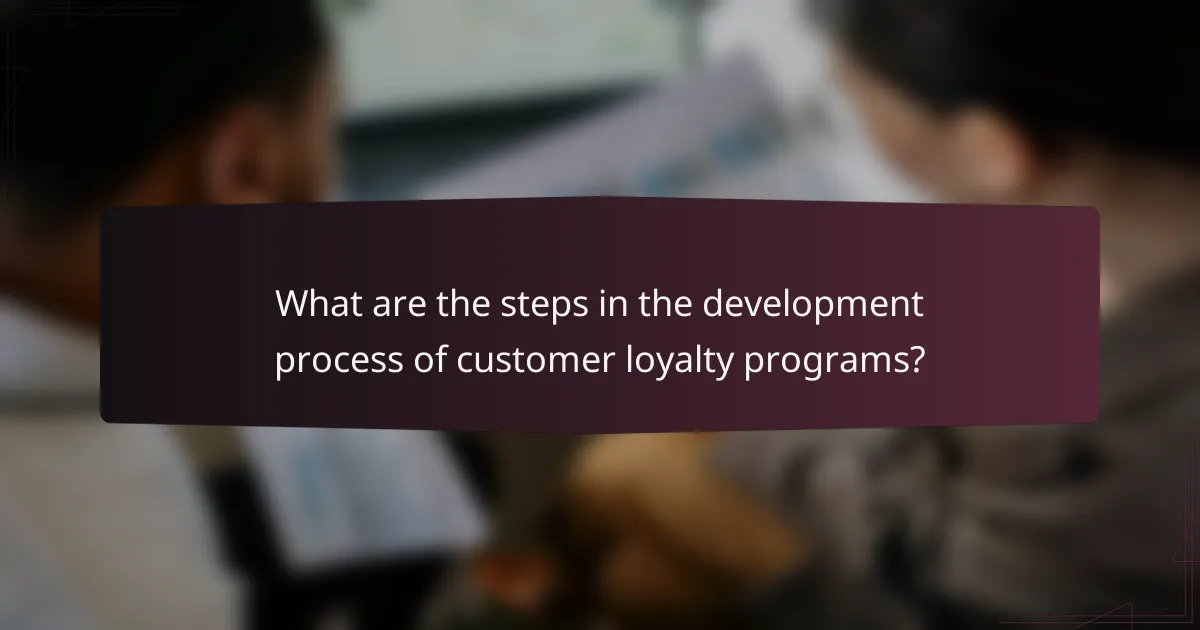 What are the steps in the development process of customer loyalty programs?